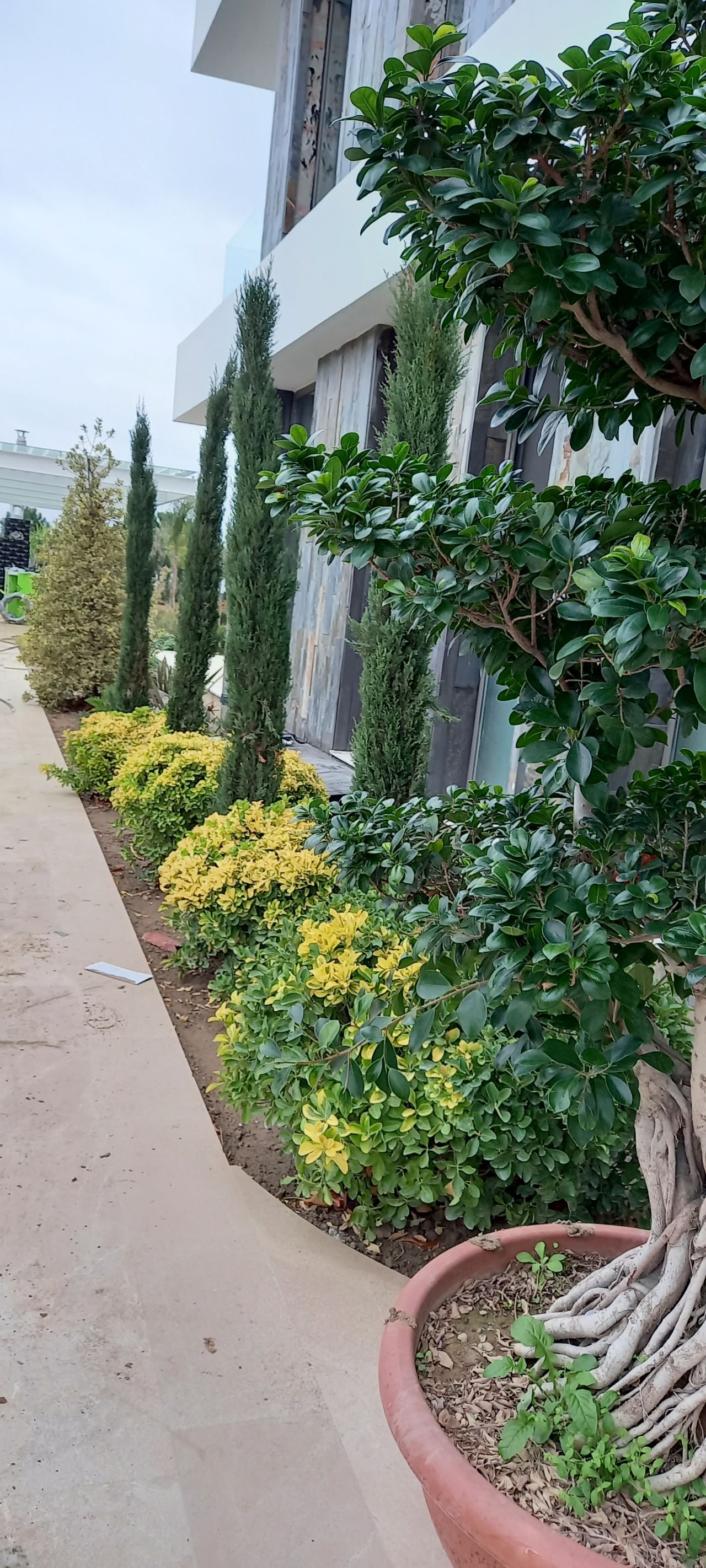 Peyzaj Mimarlığı Projesi